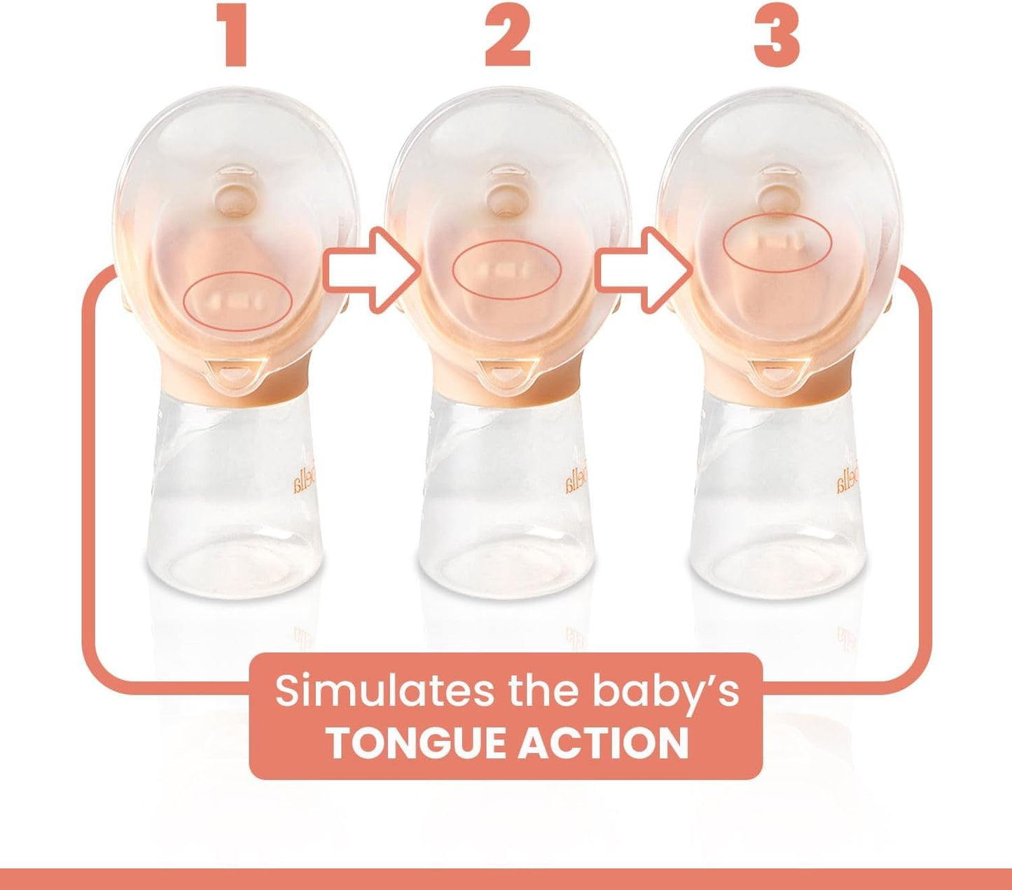 Annabella Double Breast Pump - 18-24mm fit + Free Bra